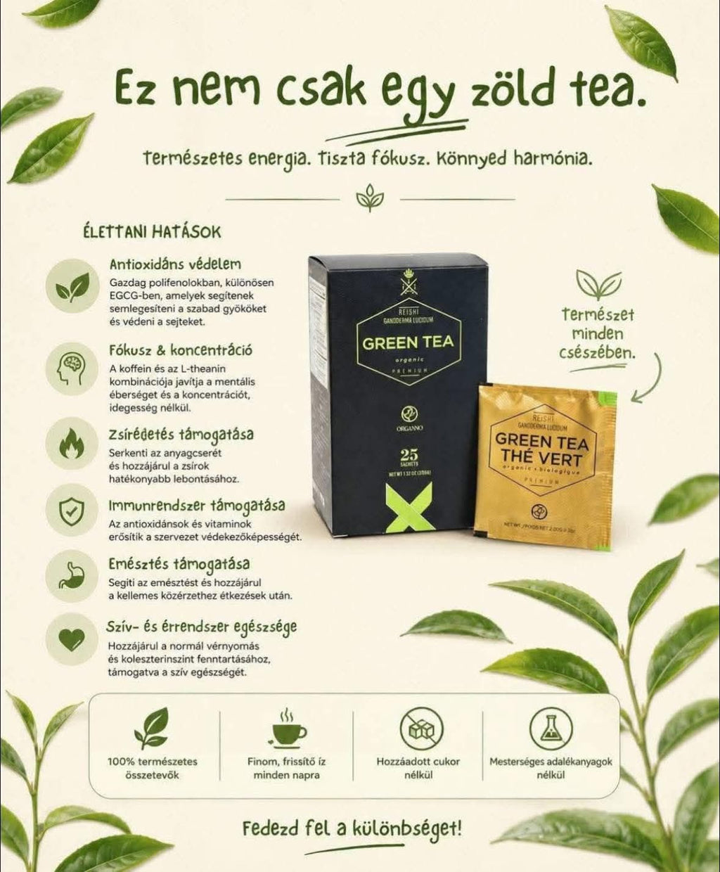 ORGANO™ Organikus Zöld Tea – Ganoderma lucidum | 25 zacskó